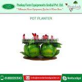 Cabbage Shape Pot Planters Available at Very Low Rate thumbnail-2