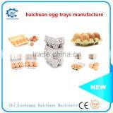 Paper Mold Pulp Egg Tray Packaging thumbnail-6