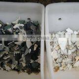 CCD ABS Color Sorting Machine thumbnail-3