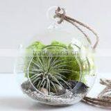 Transparent Bubble Round Shape Vase Flower Plant Water Container for Home Office thumbnail-2