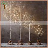 Artificial Birch Tree Without Leaves for Indoor Display thumbnail-2