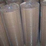 Electro Galvanized Welded Wire Mesh thumbnail-1
