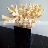 Polyresin coral decoration