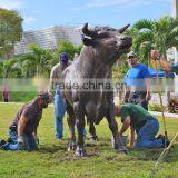 Outdoor Garden Decoration Handicraft Bronze Life Size Bull Statue for Sale thumbnail-2