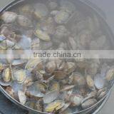 High Frozen Vacuum Packed Short Necked Clam thumbnail-2