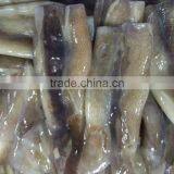 Frozen Illex Squid Tube thumbnail-3