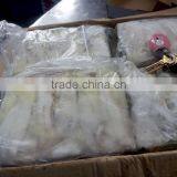 Frozen Squid Roe thumbnail-1