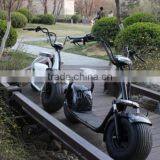 2017 Citycoco/2 Wheel Self Balancing Mobility Electric Chariot Covered Electric Scooter thumbnail-1