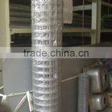Electric Galvanized Welded Wire Netting