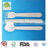 Disposable Flatware Fork Knife Spoon thumbnail-1