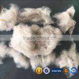 Whosale Kashmir Pure Cashmre Fiber Sale thumbnail-1