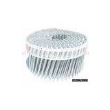 Stainless Steel Nail thumbnail-1