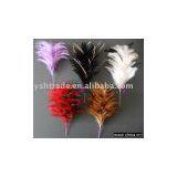 Feather Flower thumbnail-1