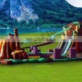 Cheap Inflatables,commercial Inflatables,inflatable Slide for Adult DS071