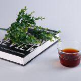 Red Grapefruit Blended Juice Boduo Bubble Tea Raw Material Affordable Price thumbnail-2