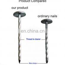 Common Iron Nails With Brand Topcreation in Ningbo China thumbnail-5
