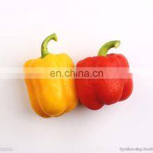 Chinese Price Frozen Red Pepper Frozen Bell Pepper With Good Quality and Moderate thumbnail-2
