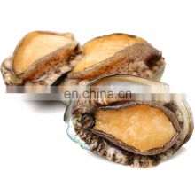 frozen abalone price