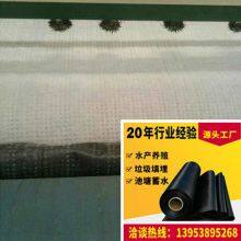 Geosynthetic Clay Liner Gcl 5000 Gram Sodium Bentonite Waterproof Blanket