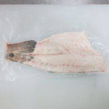 Red Drum Fillet thumbnail-2