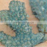 Wholesale Dyed in Pearl Blue Coral Natural Material Coral Gemstone for Jewellery Making thumbnail-2
