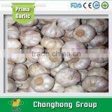 Hot Sale 4.5cm/5cm and up Normal White Garlic thumbnail-2