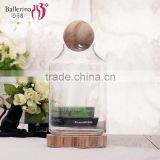 Handmade Clear Glass Planter thumbnail-5