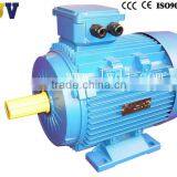 YD Multispeed Motor