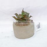 Mixed Green Artificial Succulent In cement pot