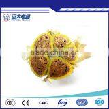 0.6/1KV Overhead Insulated Cables Xlpe Insulated Cable thumbnail-2