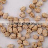 Protein Chickpeas Supplier thumbnail-3