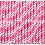 High Quality Fancy Colorful Papar Straws Disposable Paper Straws for Birthday Party