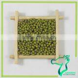 High Quality 3.6Mm Mung Beans Small Green Mung Bean Dried Mung Bean For Sale thumbnail-3