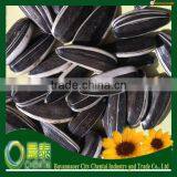 24/64 LESS VERMIN DAMAGE CHINA HIGH QUALITY ALL KINDS OF SUNFLOWER SEEDS 909 thumbnail-1