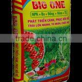 BIG ONE FOR COFFEE BEAN thumbnail-2