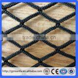Hdpe Net 25 X25 mm Mesh Hole Agricultural Bird Netting (Guangzhou Factory) thumbnail-3