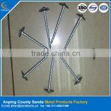 Corrugated Roofing Nails/ Zinc Coated Umbrella Head Iron Nails thumbnail-1