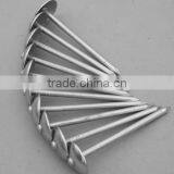 Galvanized Roofing Nail Making Equipment/corrugated Nail Machine thumbnail-1