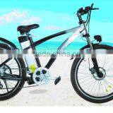 Electric Bike thumbnail-1
