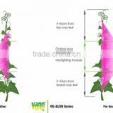 Perfect Greenhouse Supplemental Lamp for Tomaotos & Cucumber, 2years, 75w Interlighting LED Grow Lamp thumbnail-3