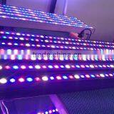 High Par 3.3ft IP65 36W LED Grow Bar Light for Hydroponic Grow Systems thumbnail-2