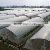 Tunnel Greenhouse thumbnail-4
