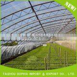 2016 High Quality Popular pe Protective Film Greenhouse thumbnail-3