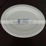 White & Beige Color Round Shape Biodegradable Sugarcane Bagasse Plate thumbnail-2