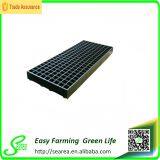 Seed-Starting Secrets of a Greenhouse Professional thumbnail-1