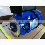 Серия MY 1 л.с. однофазный электродвигатель водяного насоса thumbnail-4