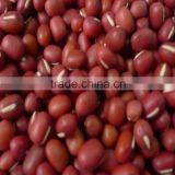 Organic small red bean