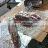 Frozen Yellow Croaker thumbnail-5