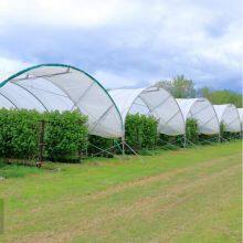 Best Sale Long Service Life Agricultural Insect Proof Net Anti Insect Net for Green House thumbnail-3
