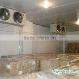 0.75-3hp Freezing Room With Monoblock Unit thumbnail-3